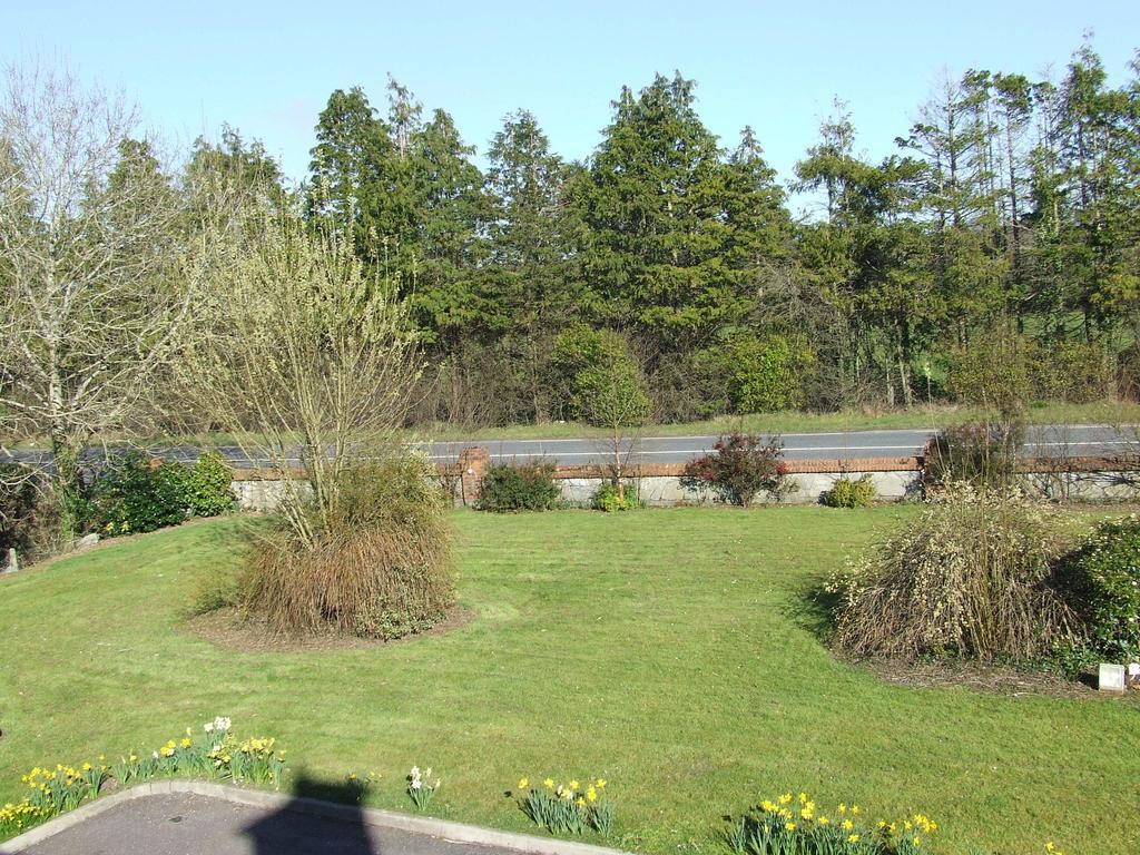 Rockfield House B&B Killarney Buitenkant foto