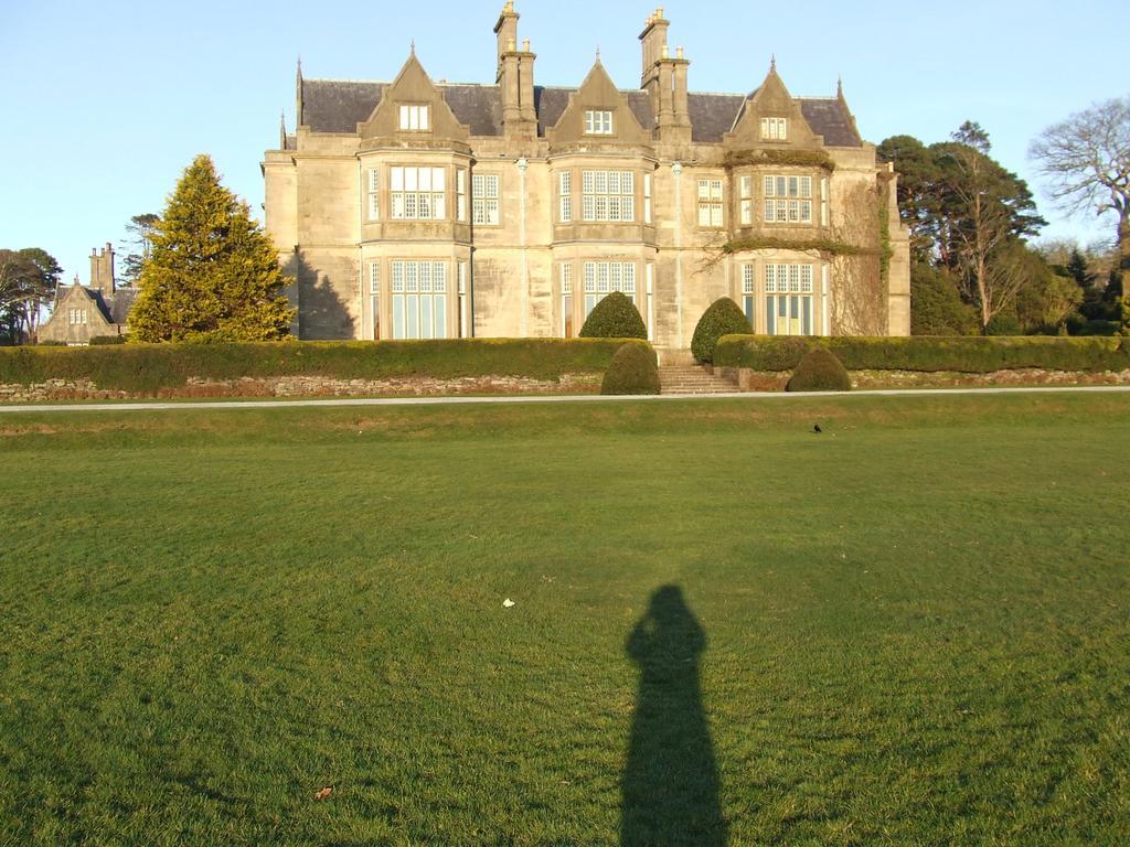 Rockfield House B&B Killarney Buitenkant foto