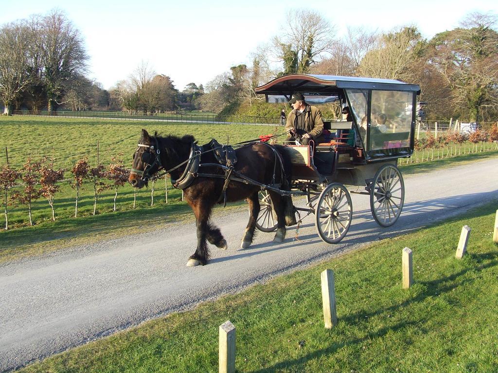 Rockfield House B&B Killarney Buitenkant foto