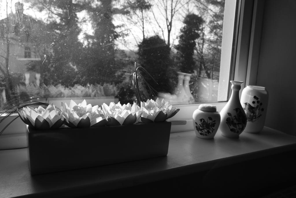 Rockfield House B&B Killarney Buitenkant foto